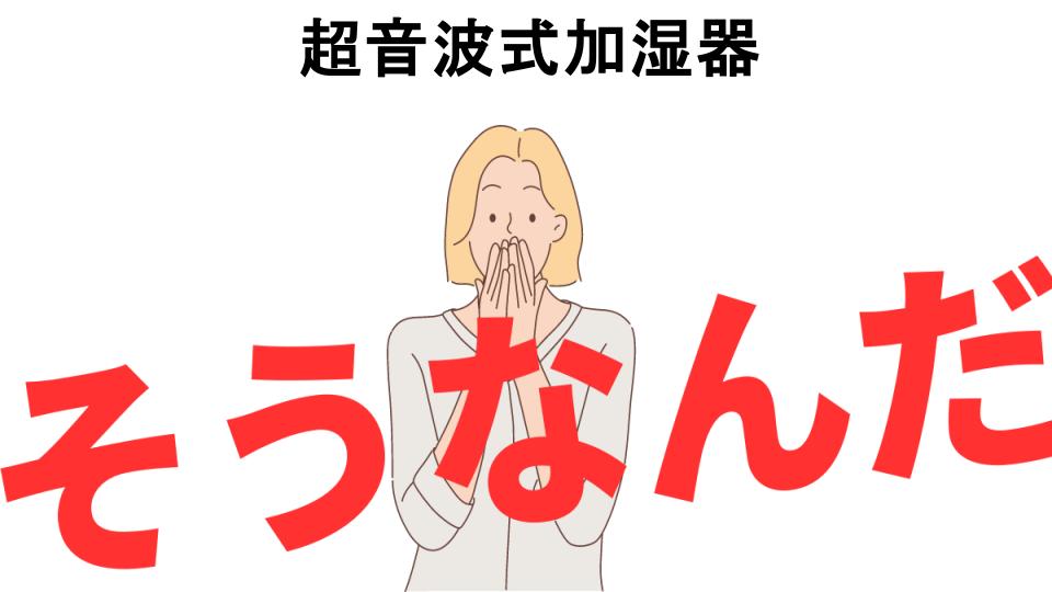 意味ないと思う人におすすめ！超音波式加湿器の代わり